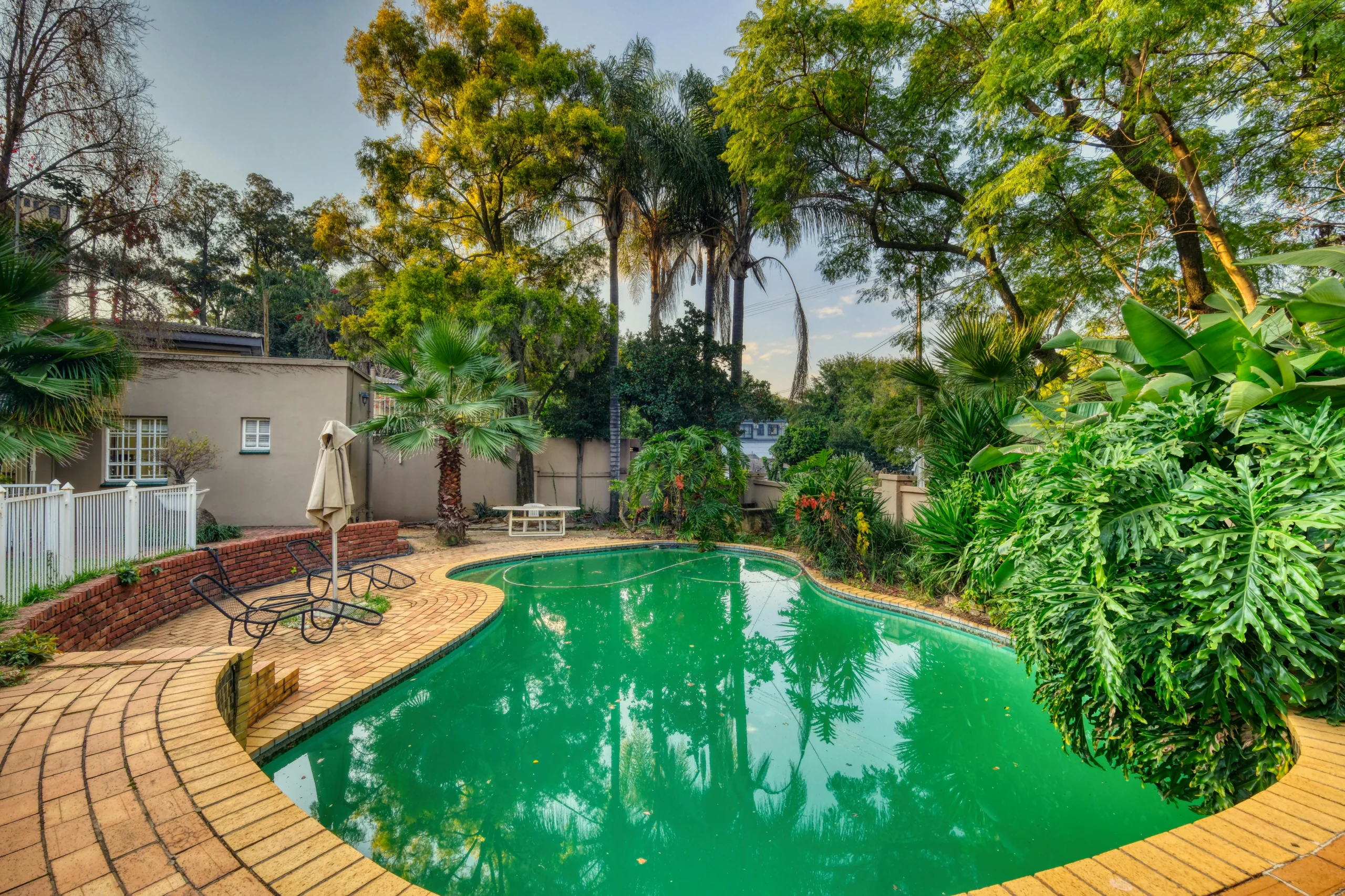 Piscina orgánica en entorno tropical