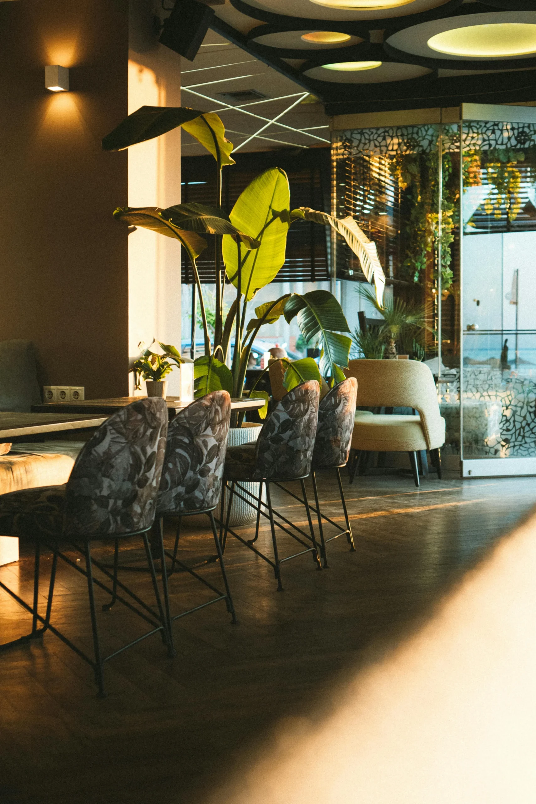 Restaurante con Luz Natural y Vegetación