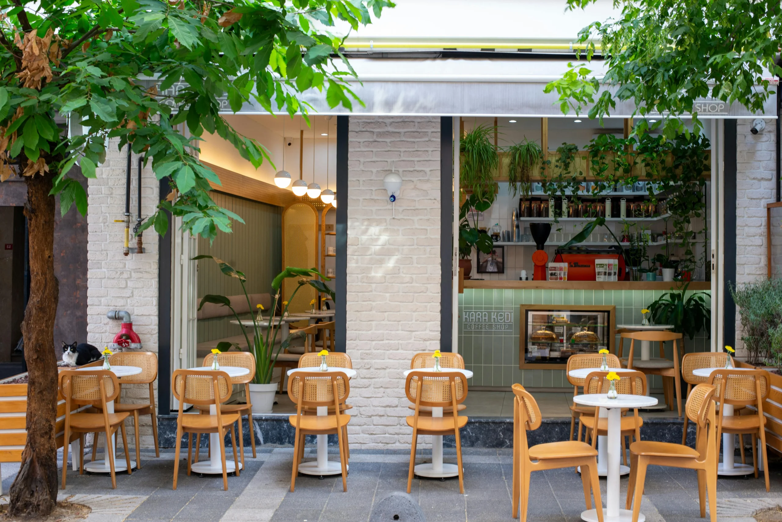 Terraza Café Estilo Natural