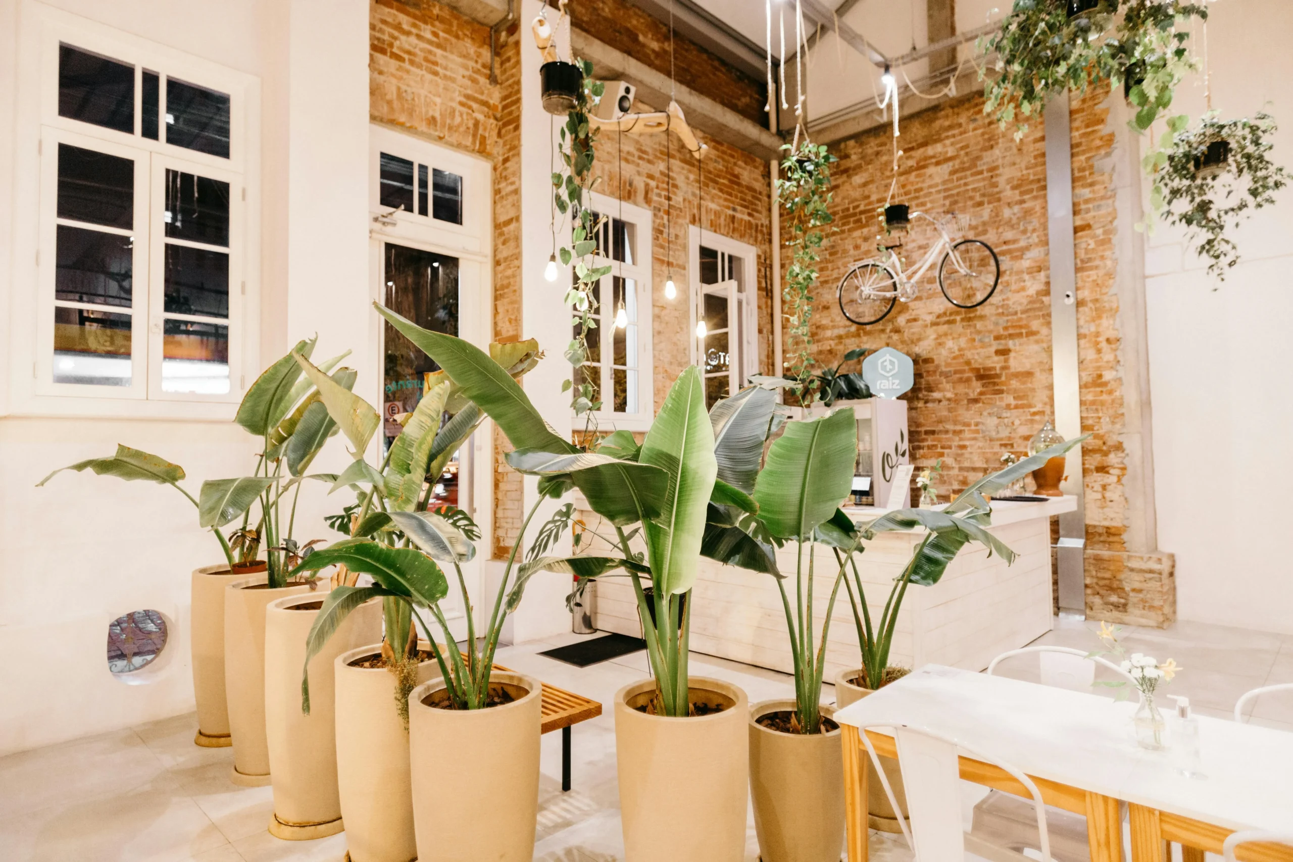 Cafetería Industrial con Ladrillo Visto y Vegetación Colgante
