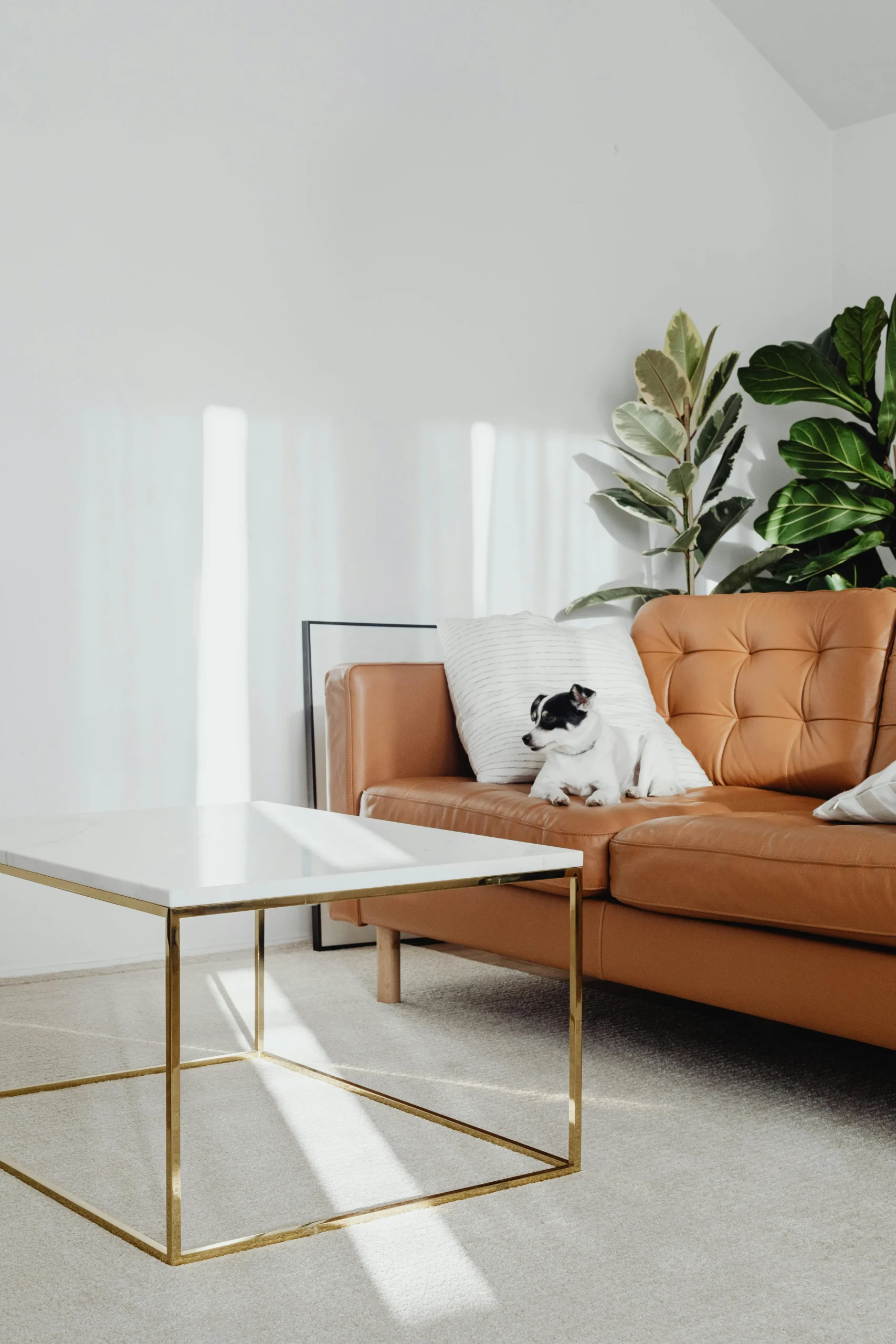 Sala Minimalista con Sofá de Cuero y Mesa de Mármol