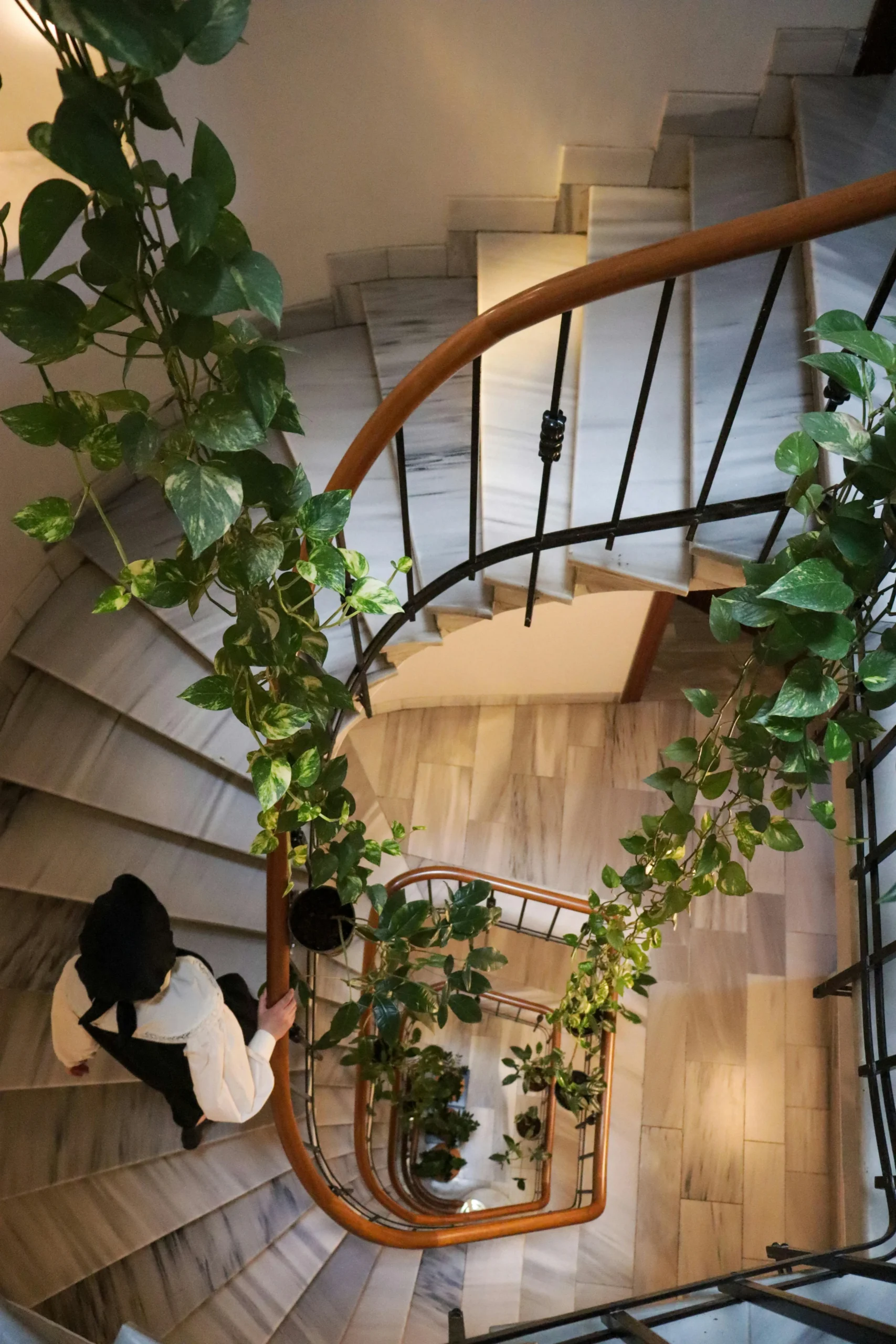 “Módulos Vivos, Lepe” — Huelva Escalera Interior Curvada con Vegetación Colgante