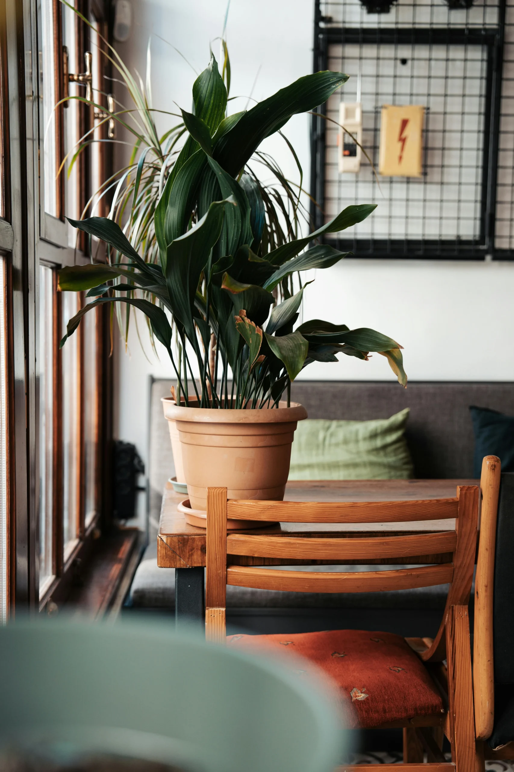 Rincón de Café con Mobiliario de Madera Natural y Luz Lateral