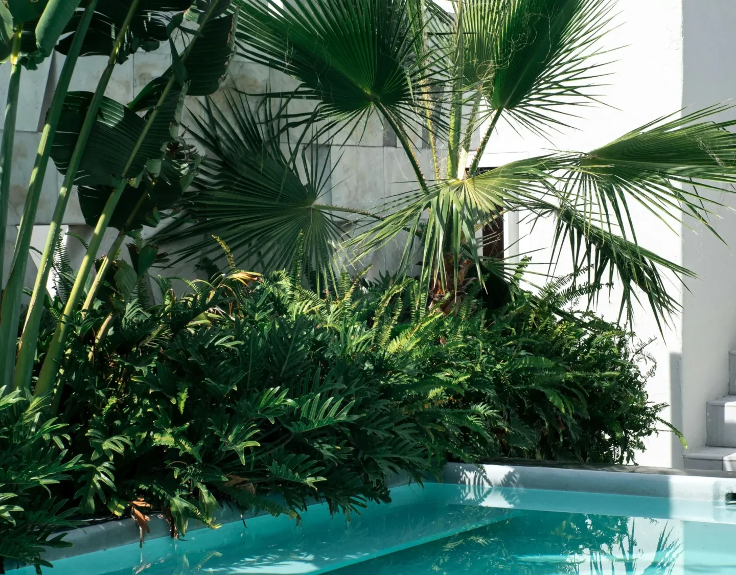 Piscina Exterior con Vegetación Tropical y Arquitectura Minimalista