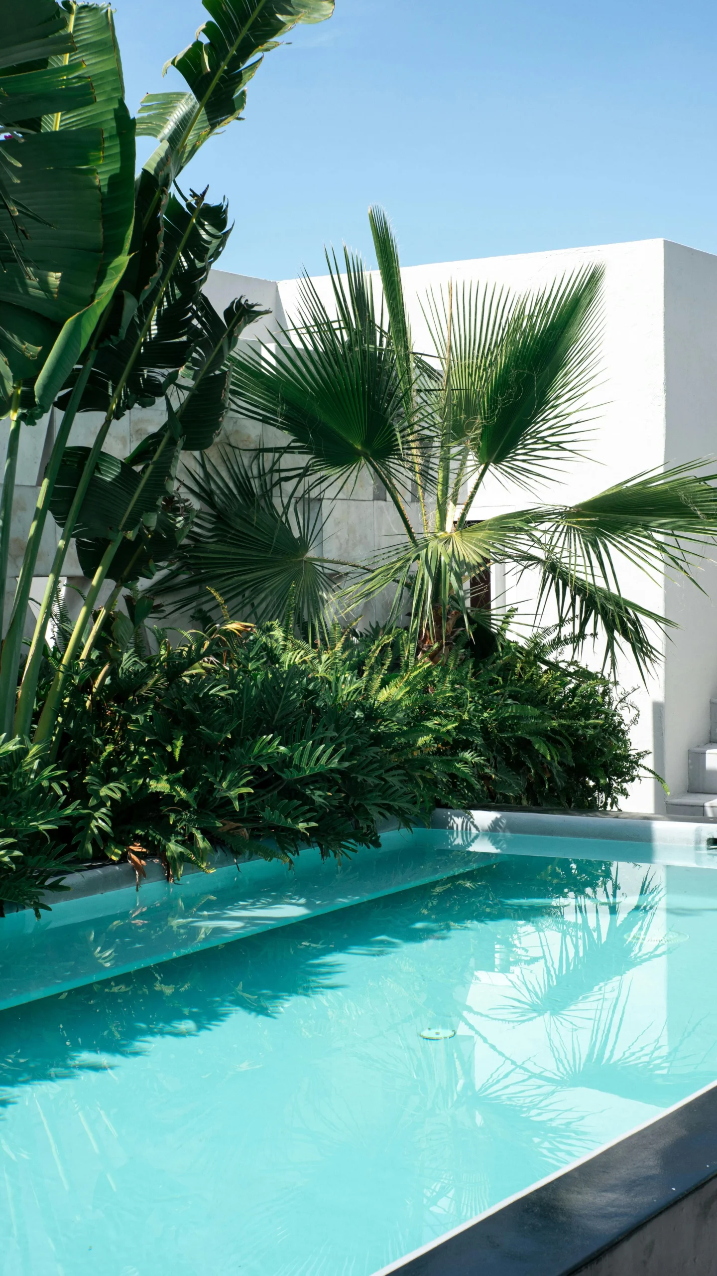 Piscina Exterior con Vegetación Tropical y Arquitectura Minimalista