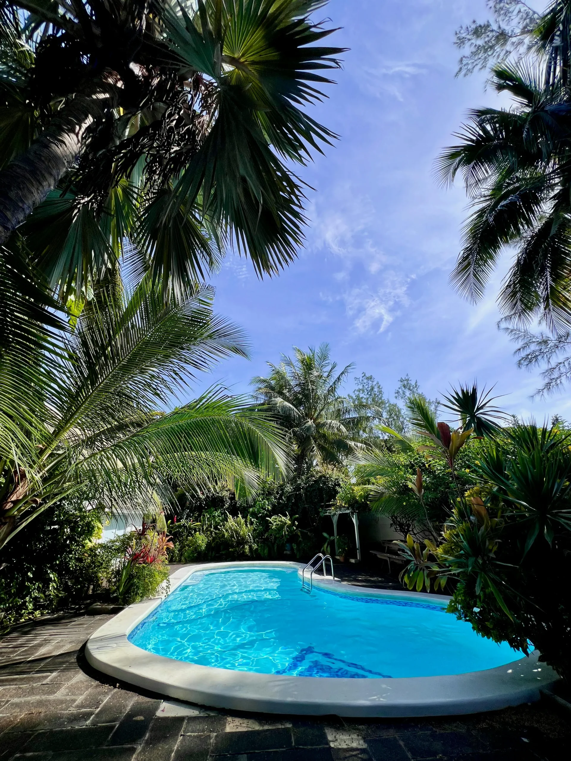 Piscina Tropical Rodeada de Vegetación Exuberante