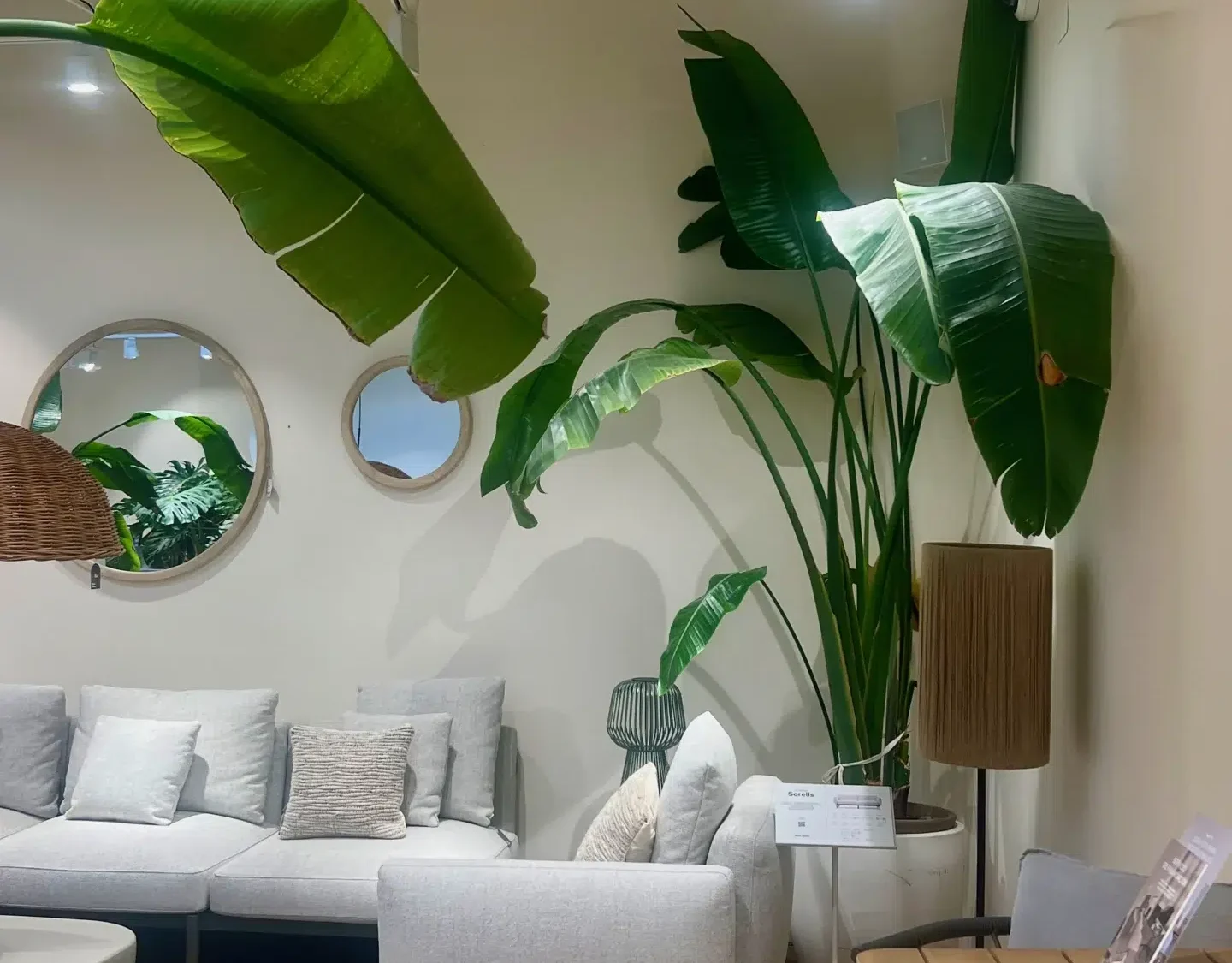 Salón Luminoso con Estética Japandi y Conexión Natural