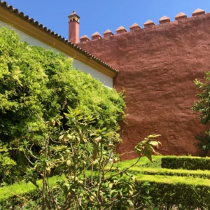 Sevilla.Dikigai Magazine008 Enredaderas en Patio Andaluz
